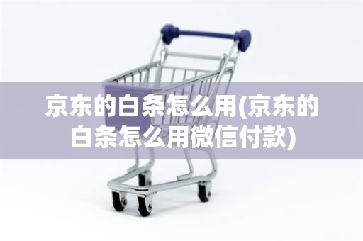 京东的白条怎么用(京东的白条怎么用微信付款)