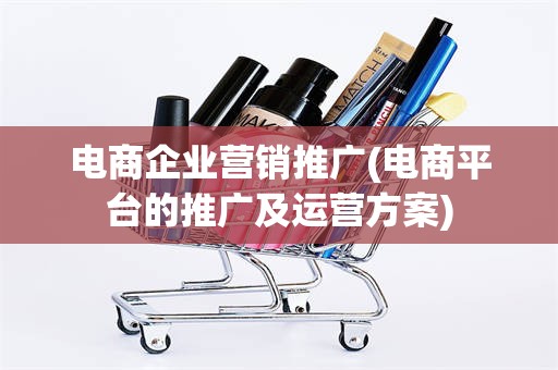 电商企业营销推广(电商平台的推广及运营方案)