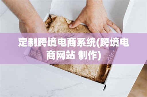 定制跨境电商系统(跨境电商网站 制作)