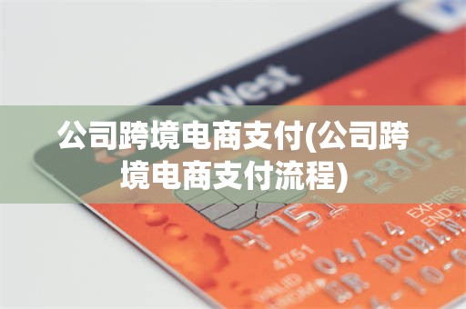公司跨境电商支付(公司跨境电商支付流程)