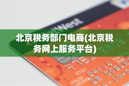 北京税务部门电商(北京税务网上服务平台)
