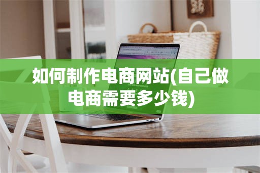如何制作电商网站(自己做电商需要多少钱)
