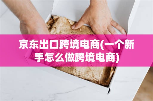 京东出口跨境电商(一个新手怎么做跨境电商)