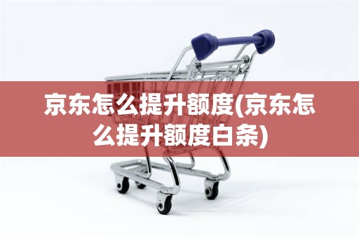 京东怎么提升额度(京东怎么提升额度白条)