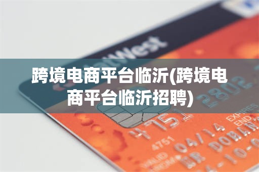 跨境电商平台临沂(跨境电商平台临沂招聘)