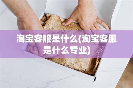 淘宝客服是什么(淘宝客服是什么专业)