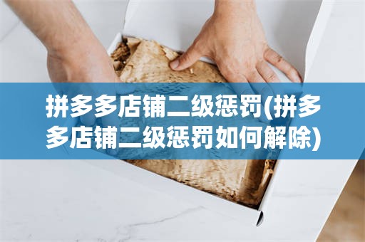 拼多多店铺二级惩罚(拼多多店铺二级惩罚如何解除)