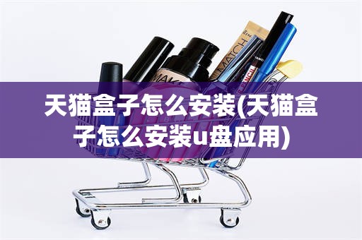 天猫盒子怎么安装(天猫盒子怎么安装u盘应用)