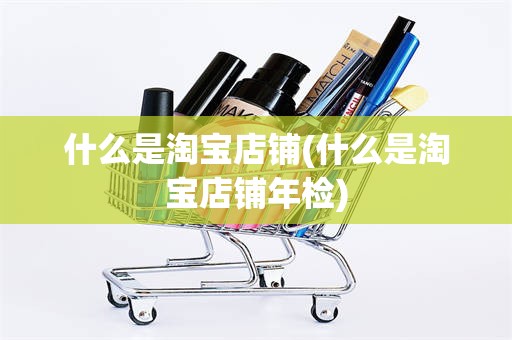 什么是淘宝店铺(什么是淘宝店铺年检)