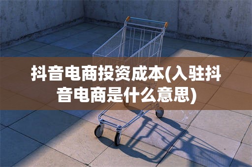 抖音电商投资成本(入驻抖音电商是什么意思)