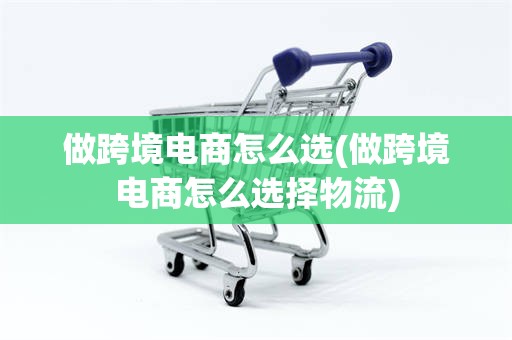 做跨境电商怎么选(做跨境电商怎么选择物流)