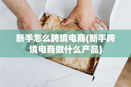 新手怎么跨境电商(新手跨境电商做什么产品)