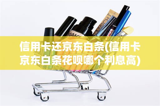 信用卡还京东白条(信用卡京东白条花呗哪个利息高)