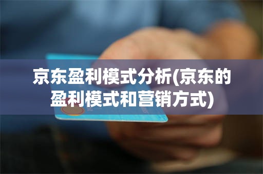 京东盈利模式分析(京东的盈利模式和营销方式)