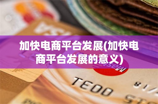 加快电商平台发展(加快电商平台发展的意义)