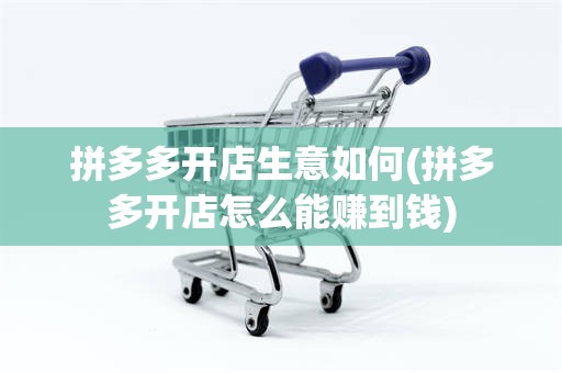 拼多多开店生意如何(拼多多开店怎么能赚到钱)