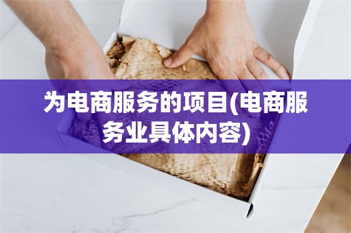 为电商服务的项目(电商服务业具体内容)