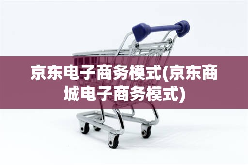 京东电子商务模式(京东商城电子商务模式)