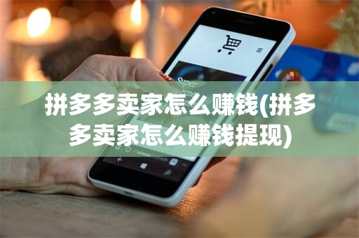 拼多多卖家怎么赚钱(拼多多卖家怎么赚钱提现)