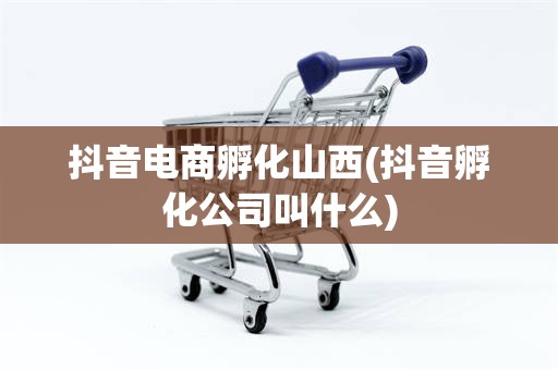 抖音电商孵化山西(抖音孵化公司叫什么)