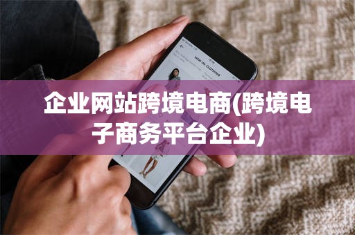 企业网站跨境电商(跨境电子商务平台企业)