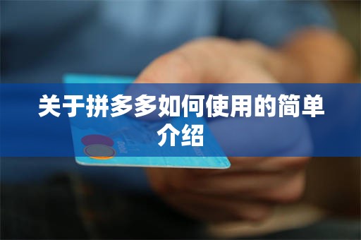 关于拼多多如何使用的简单介绍