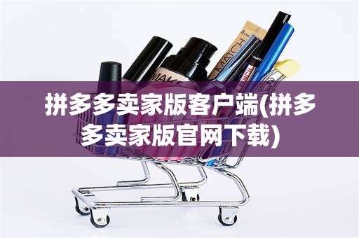 拼多多卖家版客户端(拼多多卖家版官网下载)