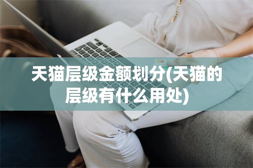 天猫层级金额划分(天猫的层级有什么用处)