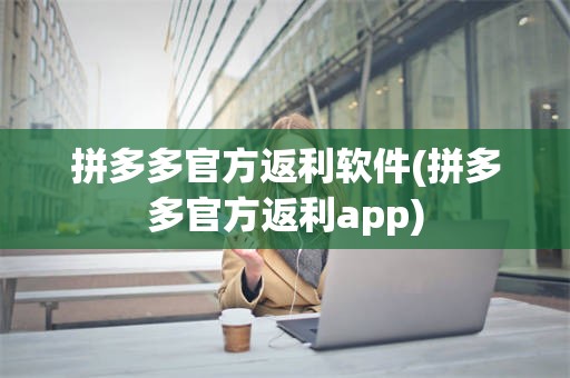 拼多多官方返利软件(拼多多官方返利app)