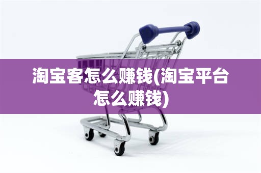 淘宝客怎么赚钱(淘宝平台怎么赚钱)