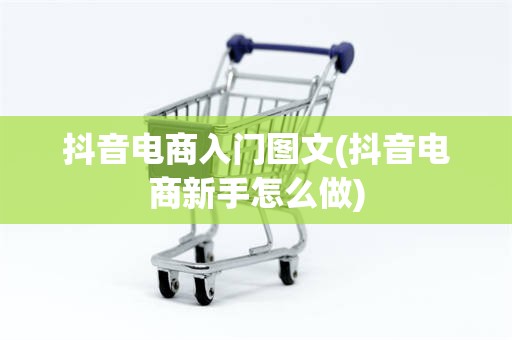 抖音电商入门图文(抖音电商新手怎么做)