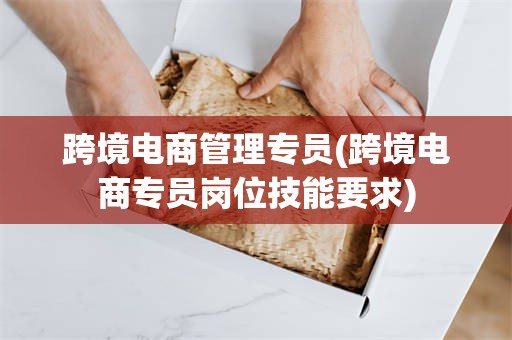 跨境电商管理专员(跨境电商专员岗位技能要求)