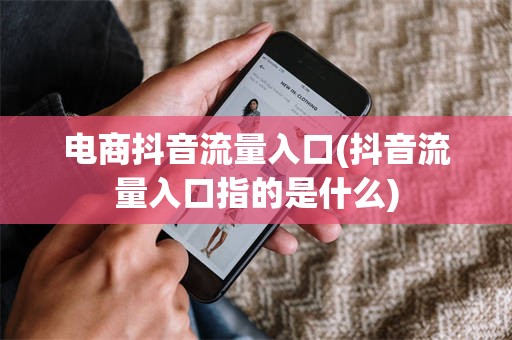 电商抖音流量入口(抖音流量入口指的是什么)