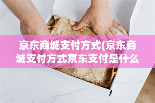 京东商城支付方式(京东商城支付方式京东支付是什么意思)