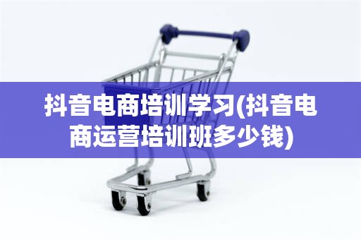抖音电商培训学习(抖音电商运营培训班多少钱)