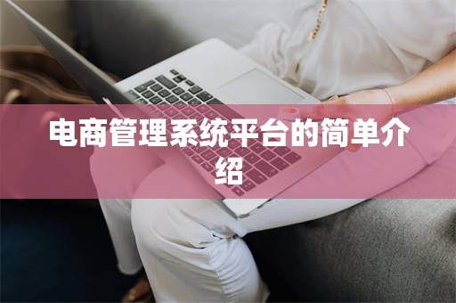 电商管理系统平台的简单介绍