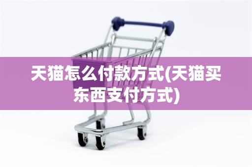 天猫怎么付款方式(天猫买东西支付方式)