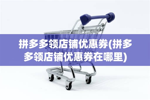 拼多多领店铺优惠券(拼多多领店铺优惠券在哪里)