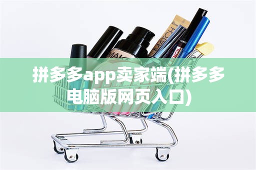 拼多多app卖家端(拼多多电脑版网页入口)