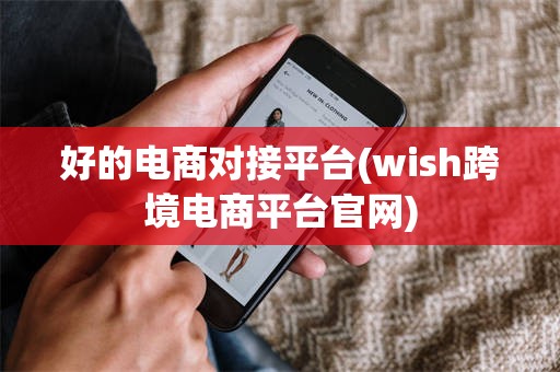 好的电商对接平台(wish跨境电商平台官网)