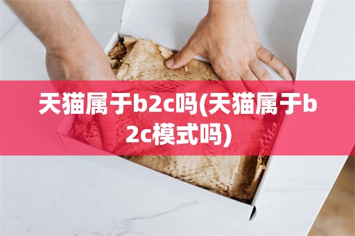 天猫属于b2c吗(天猫属于b2c模式吗)