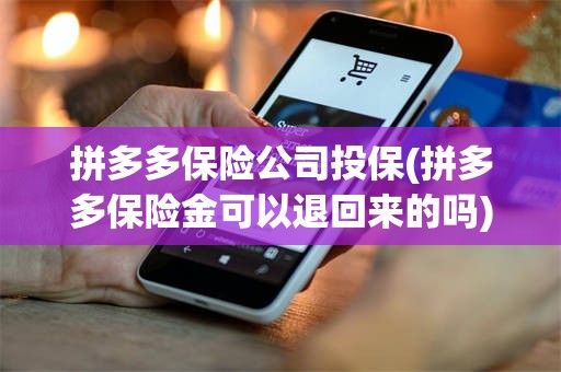 拼多多保险公司投保(拼多多保险金可以退回来的吗)