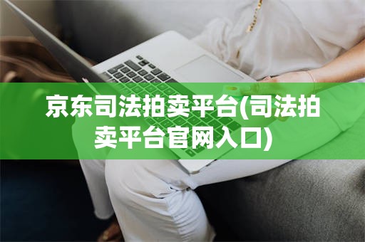 京东司法拍卖平台(司法拍卖平台官网入口)