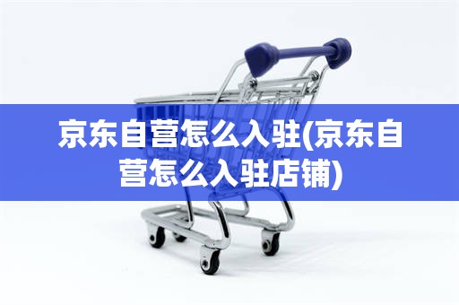 京东自营怎么入驻(京东自营怎么入驻店铺)