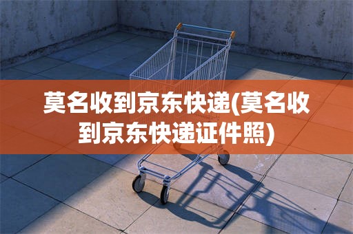 莫名收到京东快递(莫名收到京东快递证件照)