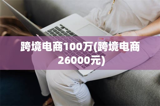 跨境电商100万(跨境电商 26000元)