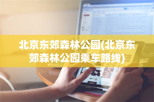 北京东郊森林公园(北京东郊森林公园乘车路线)