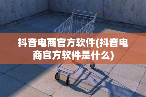 抖音电商官方软件(抖音电商官方软件是什么)