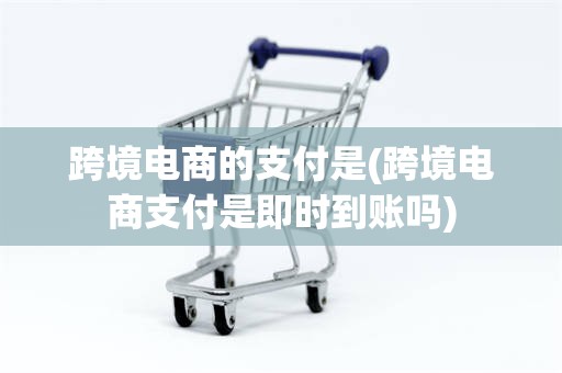 跨境电商的支付是(跨境电商支付是即时到账吗)