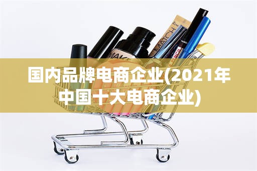国内品牌电商企业(2021年中国十大电商企业)